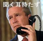 ブッシュ.jpg